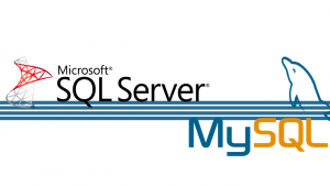 Read more about the article Difference Between MySQL & Microsoft SQL Server